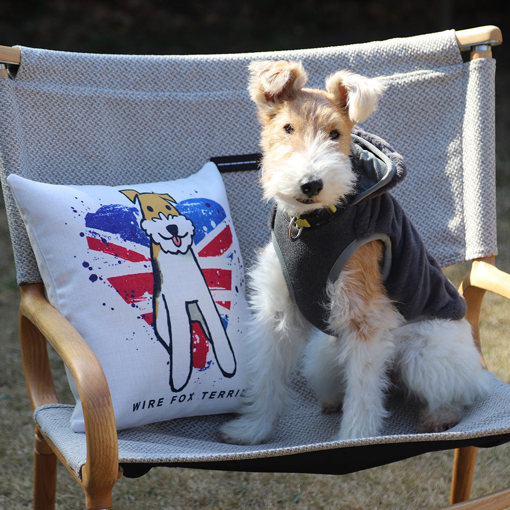 お散歩グッズ｜&g (アンドジー) Dog & Outdoor｜伊豆高原の犬用品と