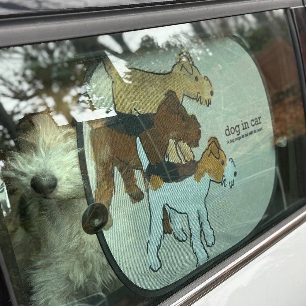 お散歩グッズ｜&g (アンドジー) Dog & Outdoor｜伊豆高原の犬