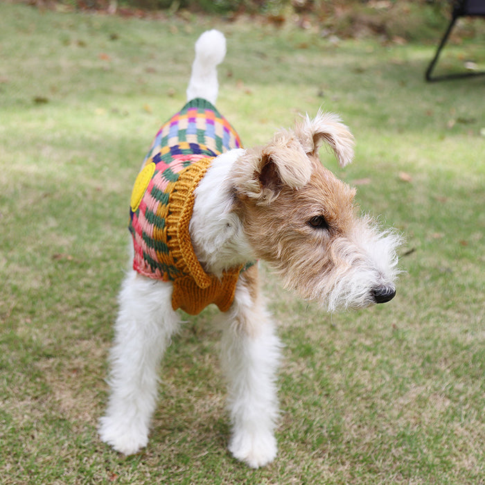 GEORGE|ジョージ【Ripple Dog Sweater】 – and-g