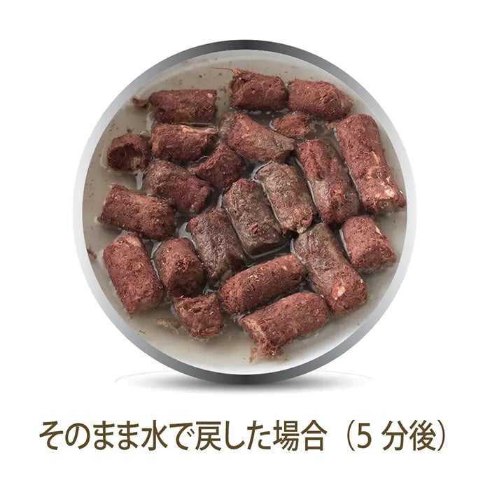 K9 Natural｜K9ナチュラル【K9ビーフ・フィースト】 – and-g