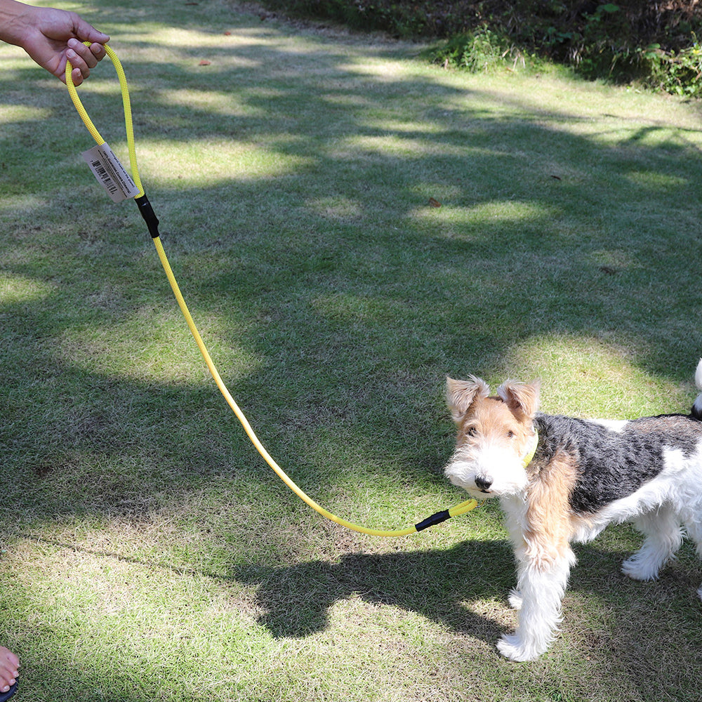 MOUNTAIN DOG｜マウンテンドッグ【Mighty Mini Clip Leash / クリップ