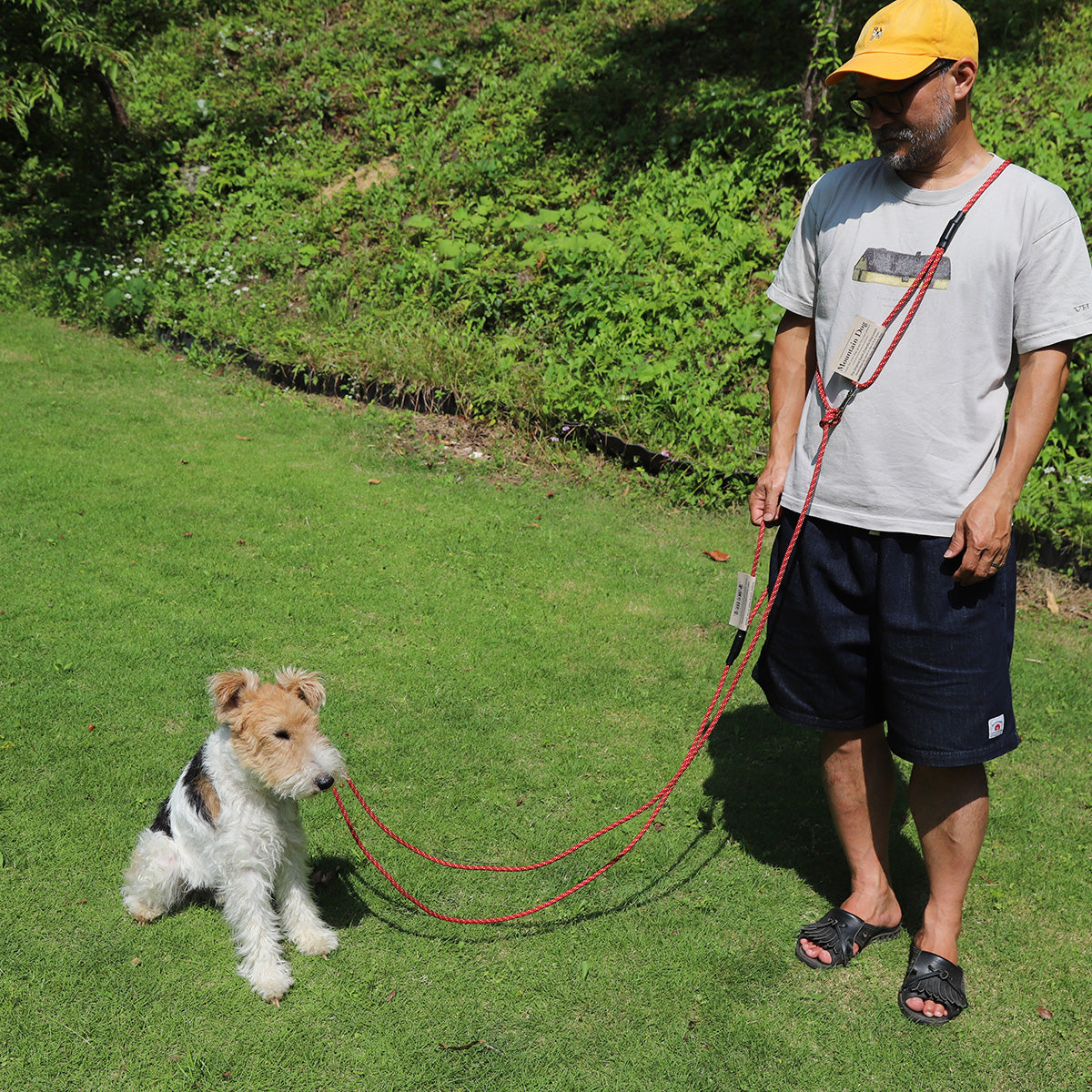 MOUNTAIN DOG｜マウンテンドッグ【Hands Free Mini Slip Leash