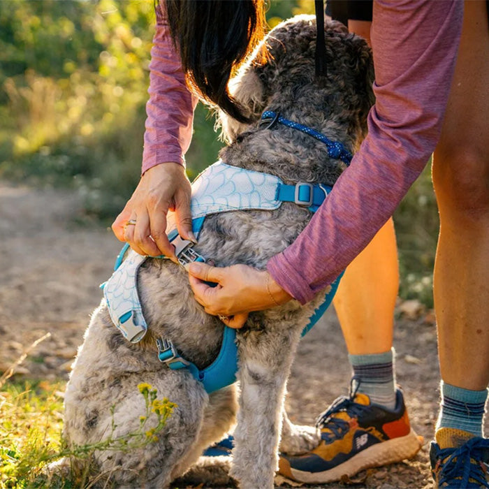 RUFFWEAR Swamp Cooler スワンプクーラードッグハーネス　新品 RUFFWEAR｜ラフウェア【スワンプクーラードッグハーネス】 – and-g