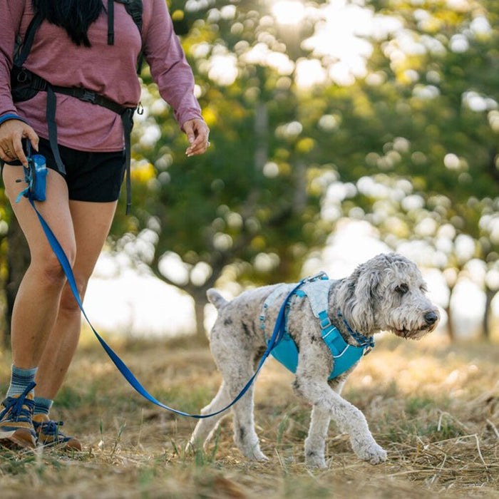 RUFFWEAR｜ラフウェア【スワンプクーラードッグハーネス】 – and-g