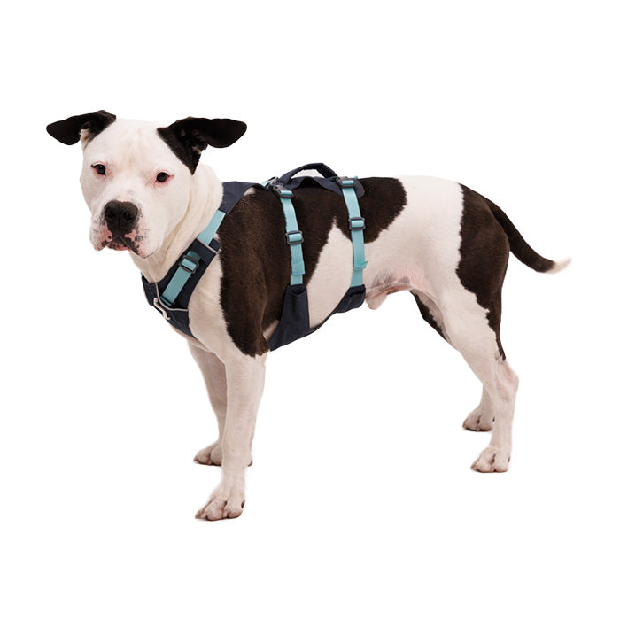 RUFFWEAR｜ラフウェア【フラッグラインハーネス】 – and-g