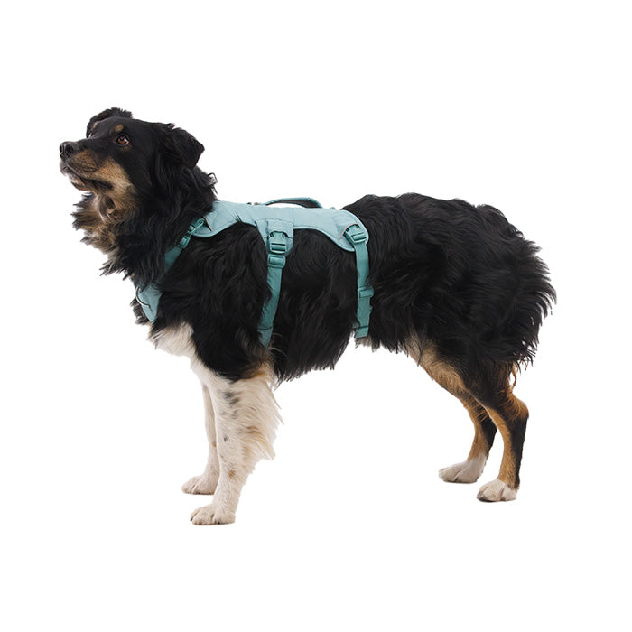 RUFFWEAR｜ラフウェア【ウェブマスタードッグハーネス】 – and-g