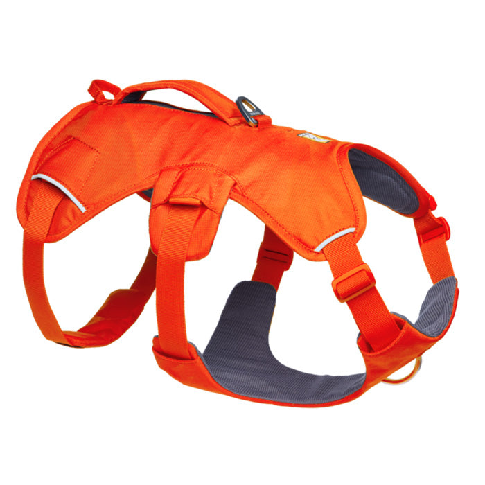 RUFFWEAR｜ラフウェア【ウェブマスタードッグハーネス】 – and-g