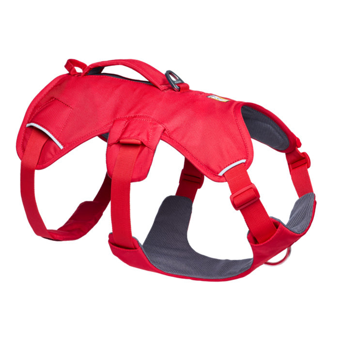 RUFFWEAR｜ラフウェア【ウェブマスタードッグハーネス】 – and-g