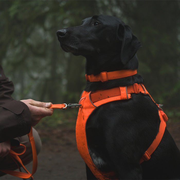 RUFFWEAR｜ラフウェア【フロントレンジハーネス】 – and-g