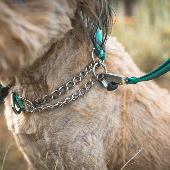 RUFFWEAR｜ラフウェア【チェーンリアクションカラー】 – and-g