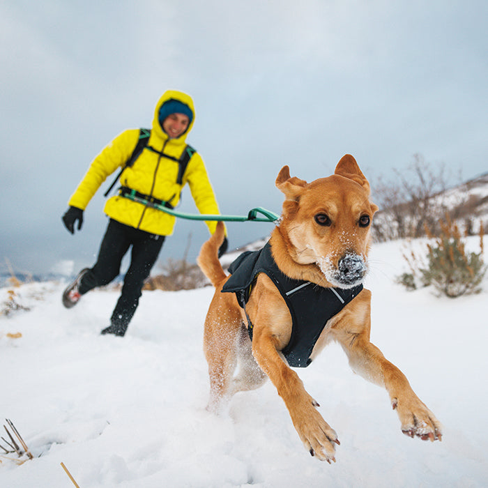 New Collection – and-g