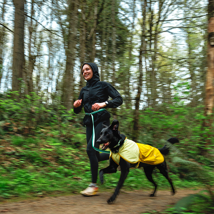 RUFFWEAR｜ラフウェア【ローマーロックリーシュ】 – and-g