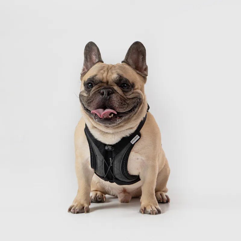 SPUTNIK｜スプートニク【Ultra Explore Harness / UXハーネス