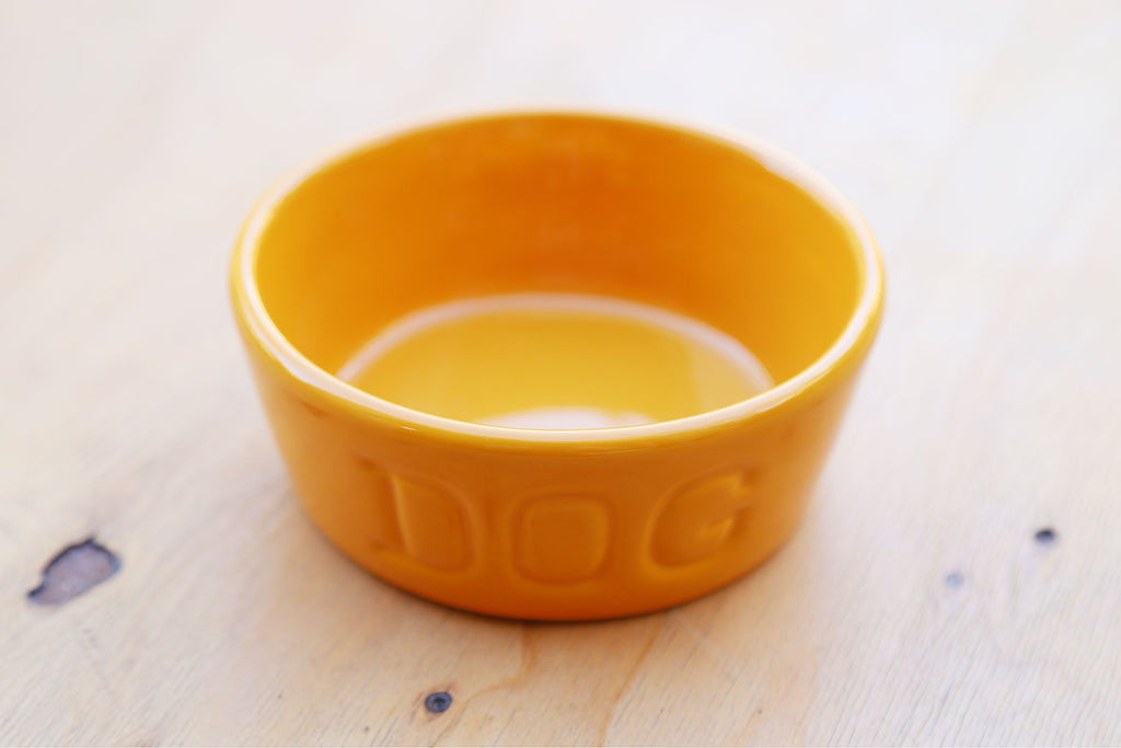 BAUER POTTERY｜バウアーポタリー【DOG BOWL S / マンゴー】-and-g